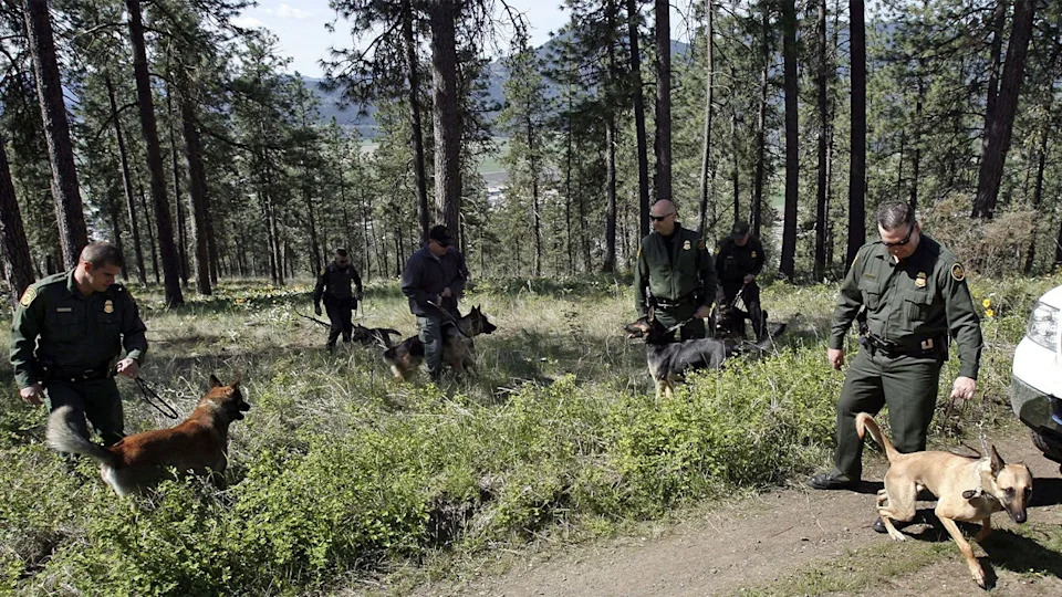 U.S. Border Patrol Agents gather with their specially trained dogs for a field training session May 9, 2006 in the mountains north of Colville, Washington.