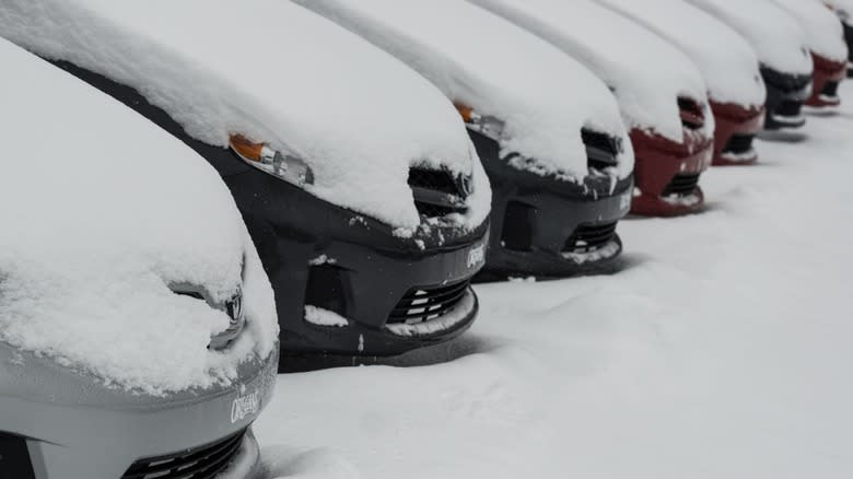 Snow-covered cars lined up at a dealership