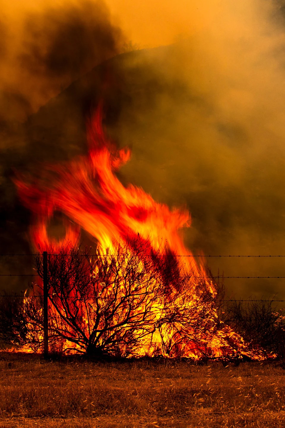 Gifford Fire burns 30,000 acres in Los Padres National Forest on August 2, 2025. Flames sweep through rugged terrain near Santa Maria, California, forcing evacuations and endangering nearby communities and wildlife.