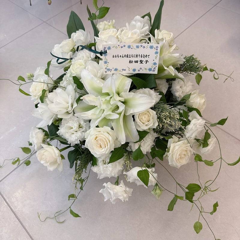 「ルミ子さんが心配です」松田聖子、愛犬急死の先輩におくった「真っ白なお花」が話題「泣けてきます」「福岡の女性は素敵ですね」