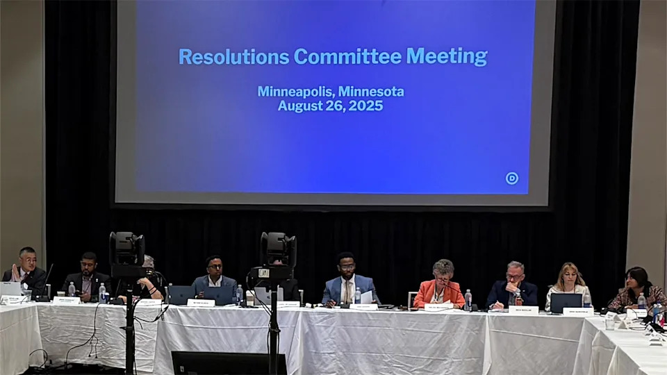DNC members rally around pro-DEI resolution: 'These are American values'