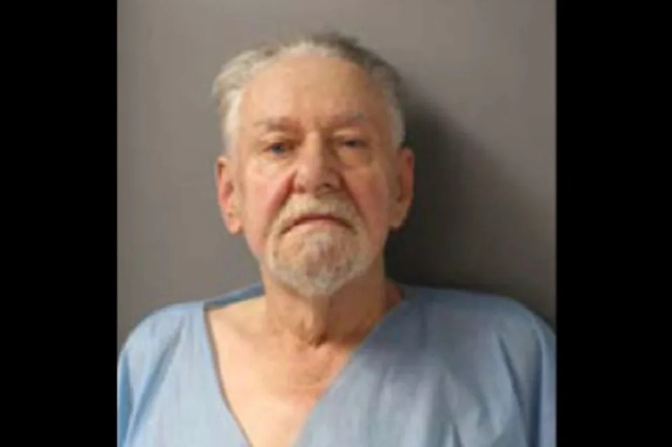 Roland Schmidt, 76, has been accused of killing his daughter-in-law execution style at a family wedding in front of a guest after she planned to divorce his son, according to the cops (Schaumburg Police Department)