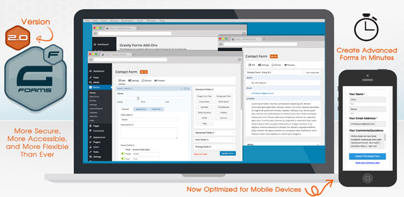 Gravity Forms v2.4.17