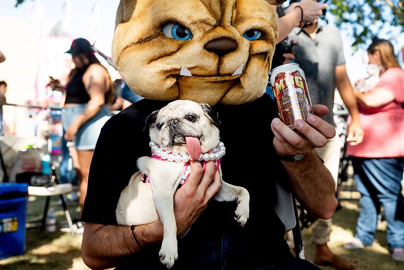Jinny Lu, un pug de 5 años