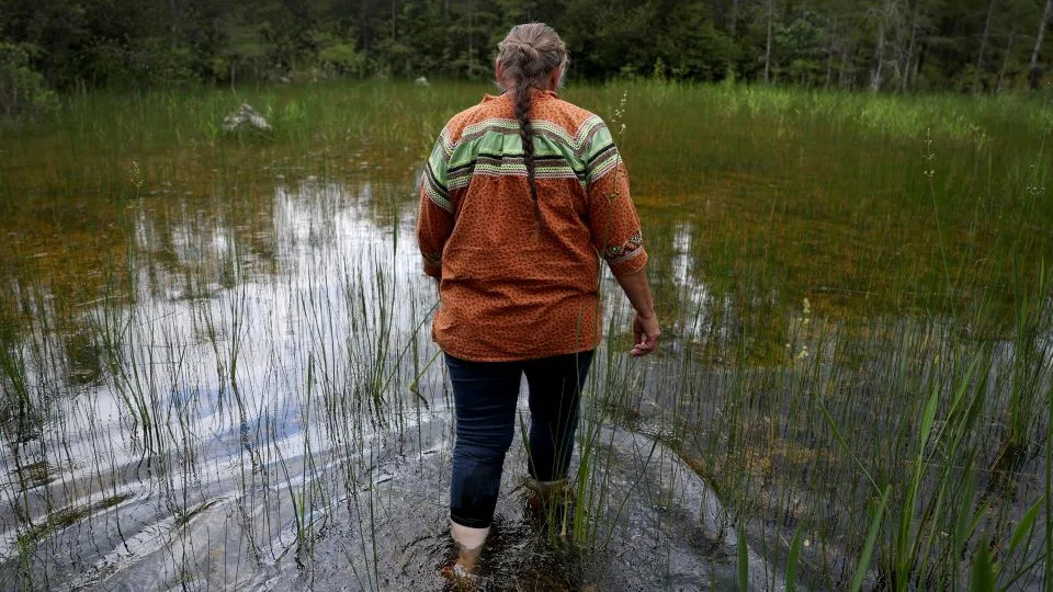 Betty Osceola, a member of the Miccosukee Tribe of Indians of Florida, walks in the Everglades a few yards from the front entrance to "Alligator Alcatraz" at the Dade-Collier Training and Transition Airport on July 10, 2025 in Ochopee, Florida. - Joe Raedle/Getty Images