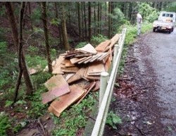 林道沿いに捨てられた畳=栃木市提供