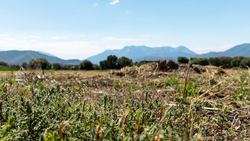 Church begins work at Heber Valley Utah Temple site as opponents appeal to Utah Supreme Court
