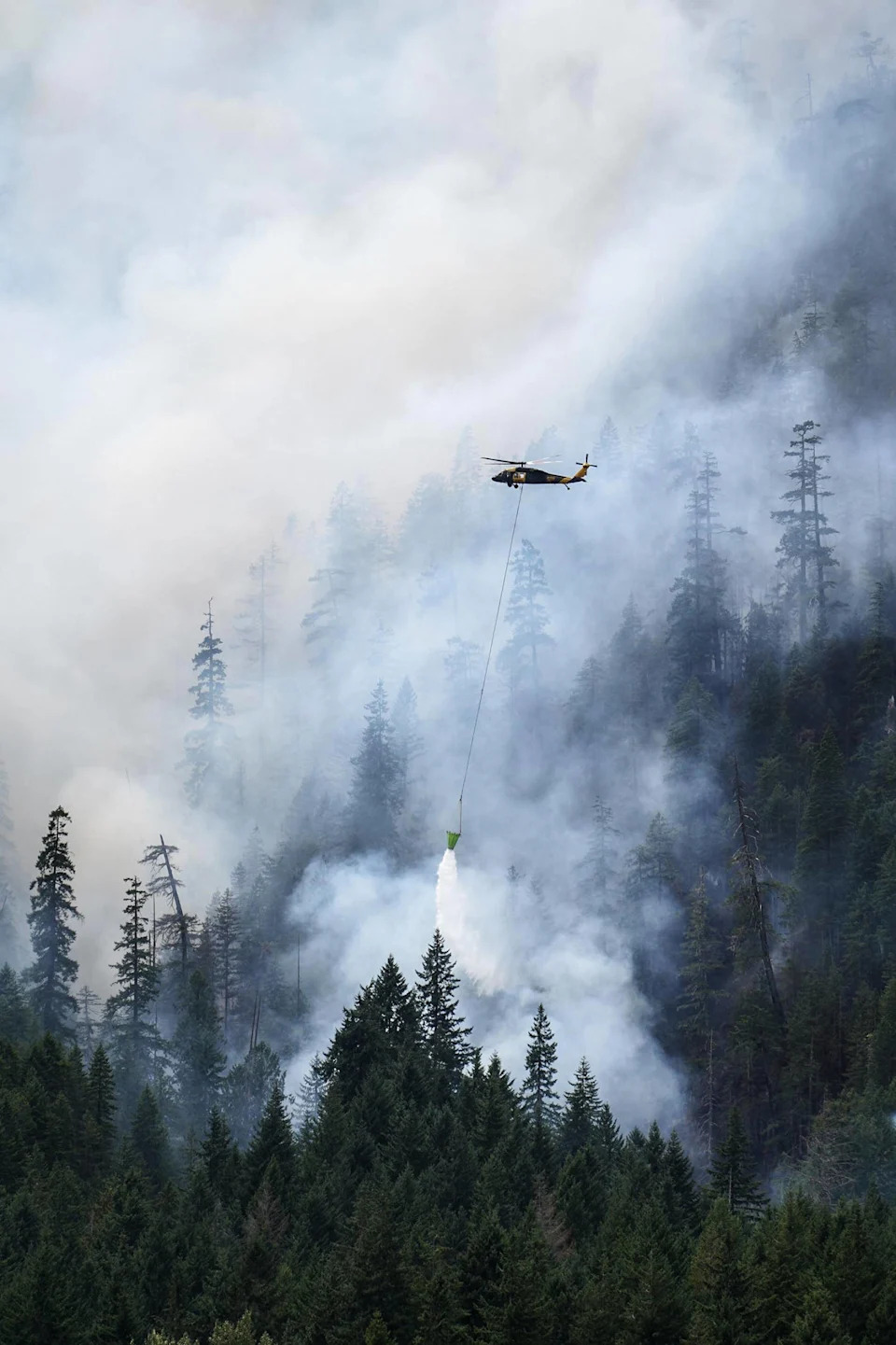 Border Patrol agents arrest fire crew members at Washington wildfire