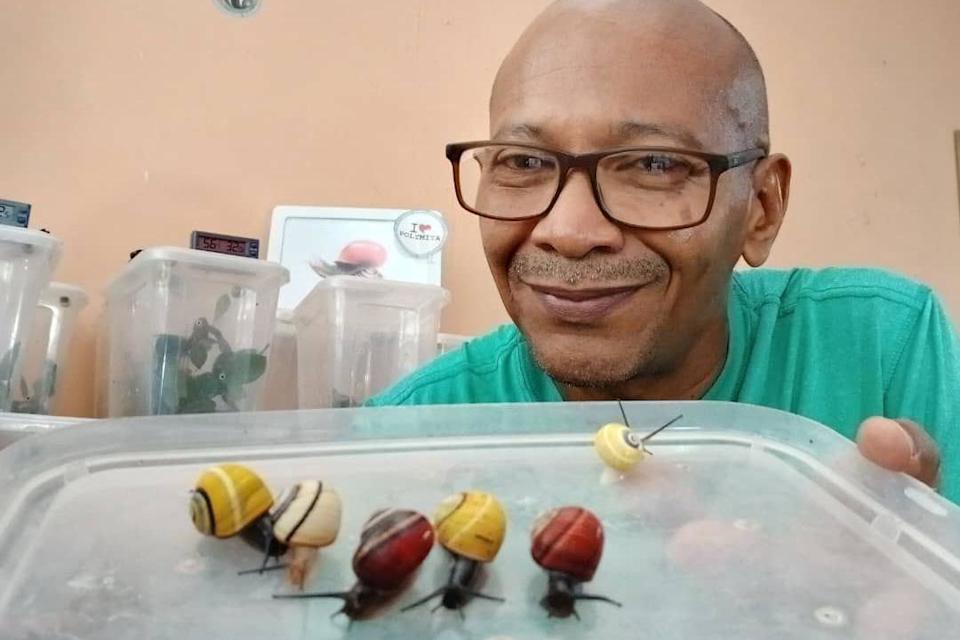 Un hombre sonriente con gafas sostiene la tapa de un contenedor plástico con seis coloridos caracoles Polymita