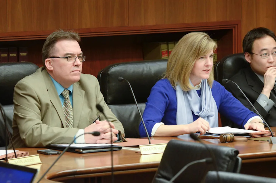 Minnesota state Rep. Melissa Hortman speaks during a joint committee hearing.