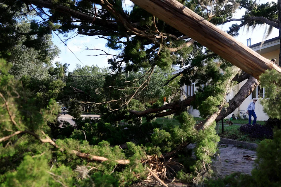 Marcia Bevis, right, walks her dog, Chocolatte, 9, as a Jeep passes around a fallen cypress tree on May Street near the 600 block of Lomax St. during the aftermath of Hurricane Helene Friday, Sept. 27, 2024 in Riverside, Jacksonville, Fla.