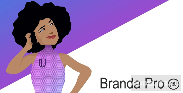 Branda Pro v3.4.5.1 - WordPress white label branding