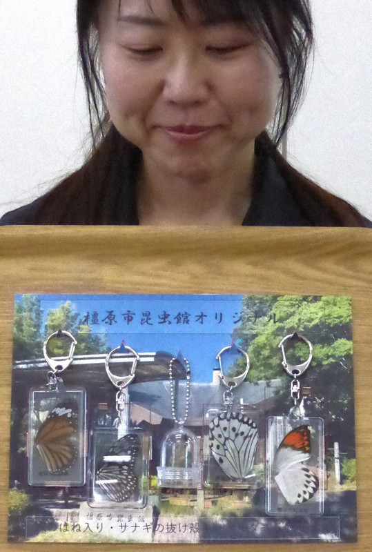 チョウの羽根キーホルダー、ふるさと納税の返礼品に　奈良・橿原