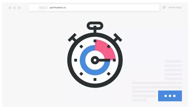 Perfmatters - Web Performance Plugin for WordPress v2.4.8