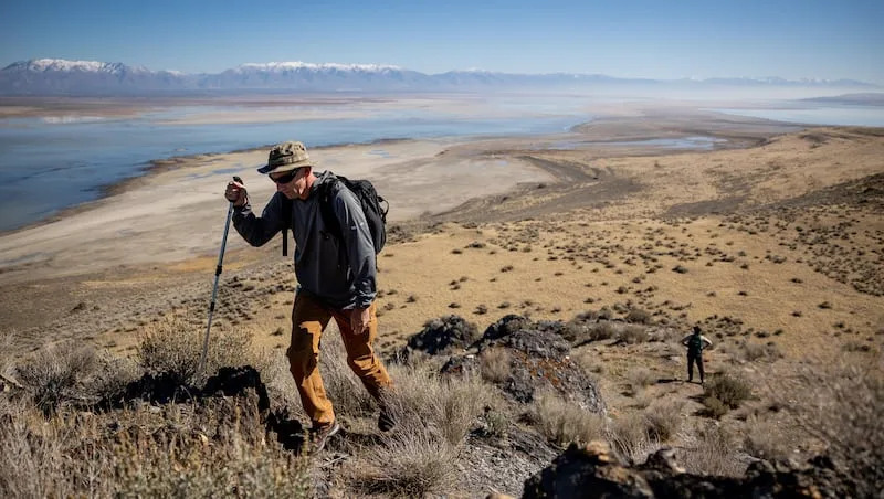 Utah could bring bighorn sheep back to another Great Salt Lake island