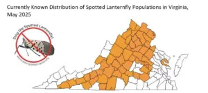 Map shows where spotted lanternfly has been spotted. (Map by Virginia Tech)