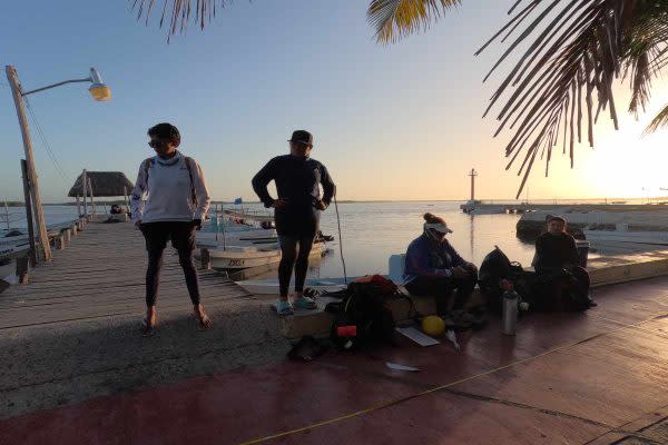 Guardianas del mar: mujeres yucatecas protegen lo que el Estado mexicano olvidó
