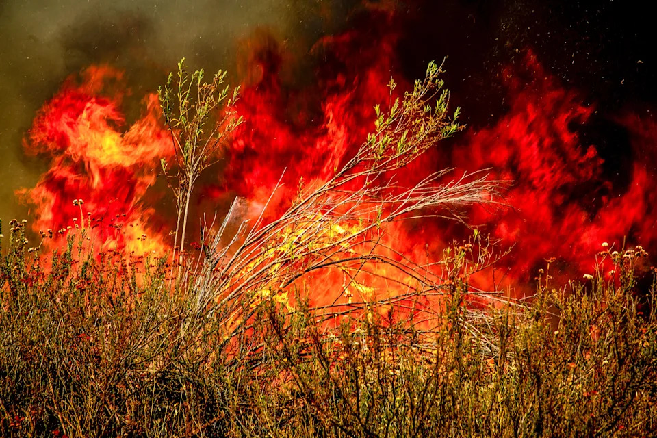 Gifford Fire burns 30,000 acres in Los Padres National Forest on August 2, 2025. Flames sweep through rugged terrain near Santa Maria, California, forcing evacuations and endangering nearby communities and wildlife.