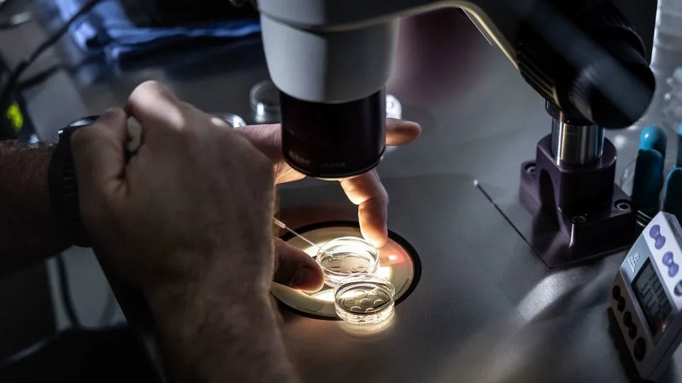 Trump’s cynical bait-and-switch on IVF