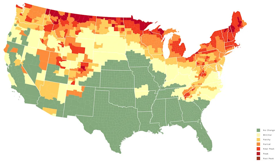 This map shows a prediction of fall foliage colors across the country during the week of Sept. 30, 2025.