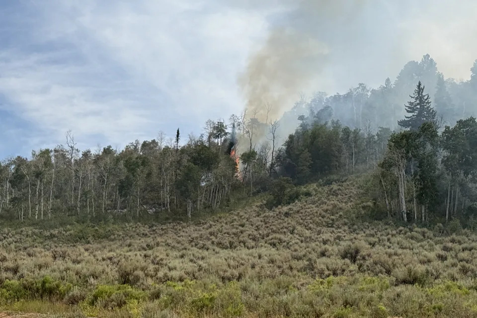 This is one of the fires the Delaware wildland firefighters were assigned to control on July 27, 2025 as part of a crew in Colorado.