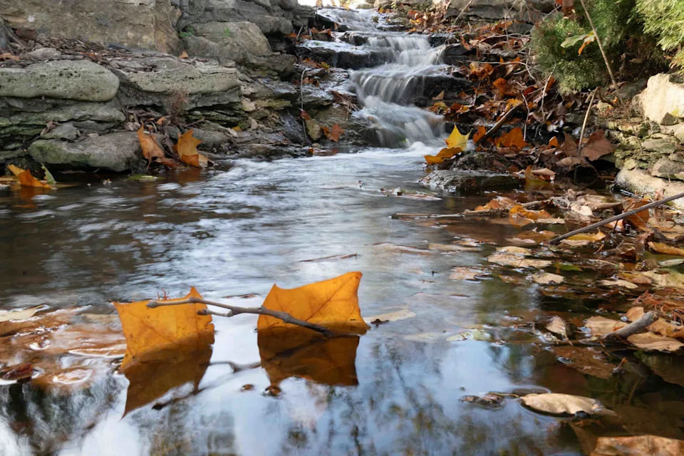 The Old Farmer's Almanac is predicting a "warmer than normal" fall season this year.