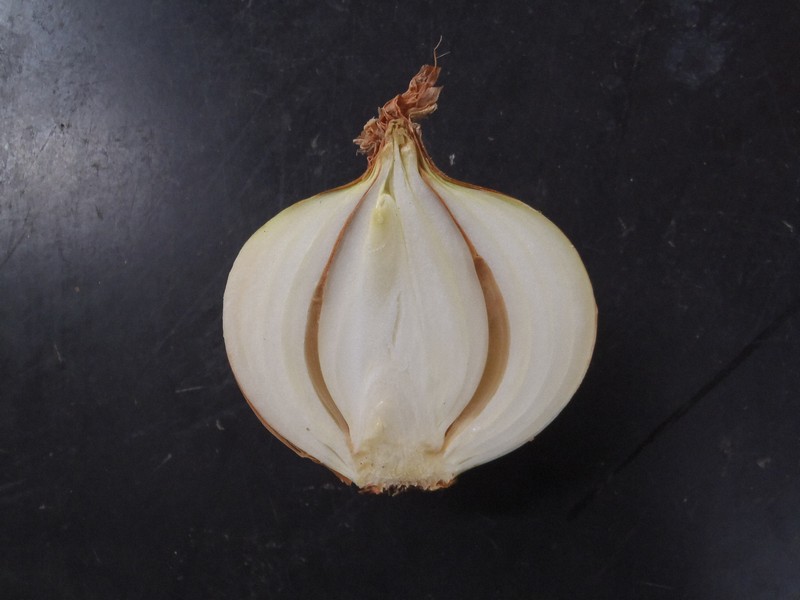 タマネギの中が茶色に……「鱗片腐敗病」かも？　食中毒の危険性も