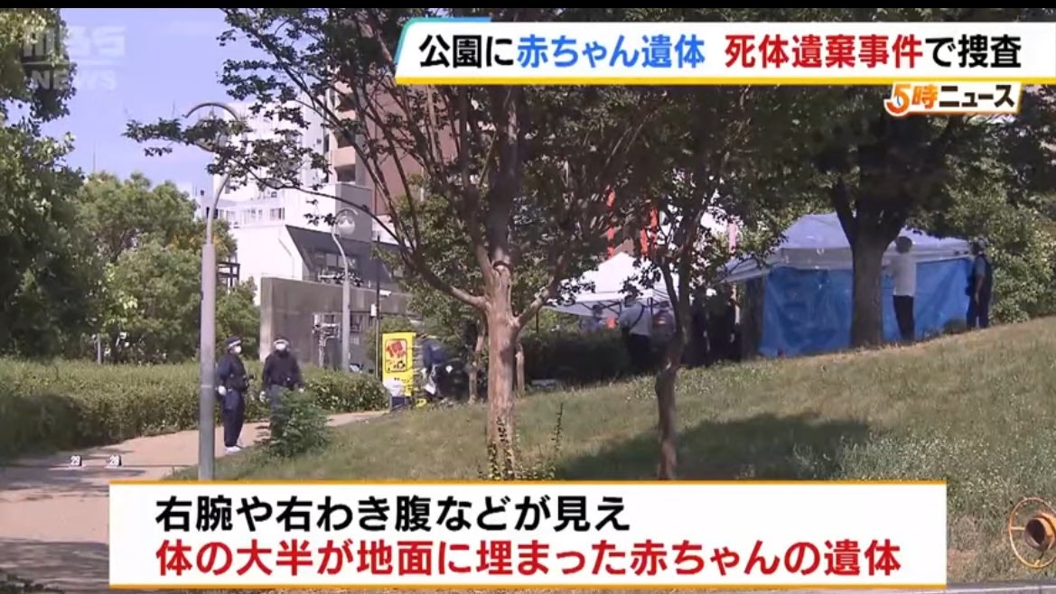 大阪公園內驚現「人手」　23歲女子涉埋初生嬰孩遺體被捕