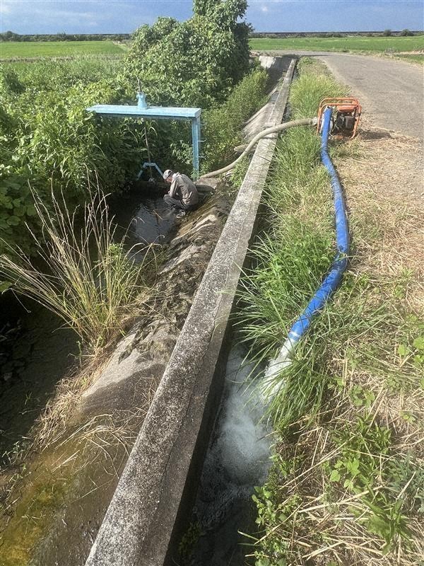 飼料米用の田んぼに送る水を排水路からポンプでくみ上げている＝大分県宇佐市宮熊で2025年8月5日午後4時44分、山口泰輝撮影