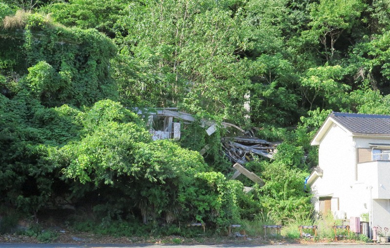 旧下田富士屋ホテルがれき、緊急代執行で撤去　隣の民家に被害　静岡