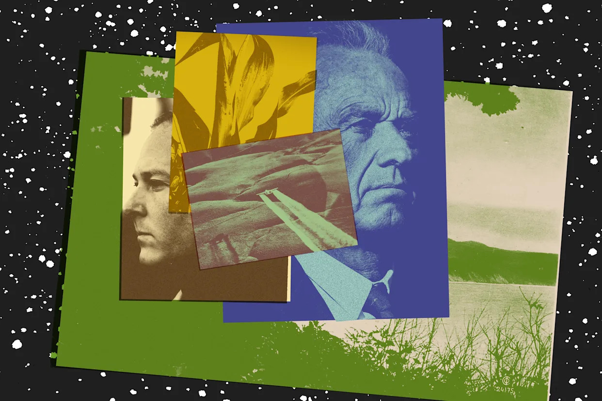 A photo collage of Robert F. Kennedy Jr. and Lee Zeldin facing opposite directions among images of a plane dropping pesticides in a field, a leafy plant, and a view of a lake.