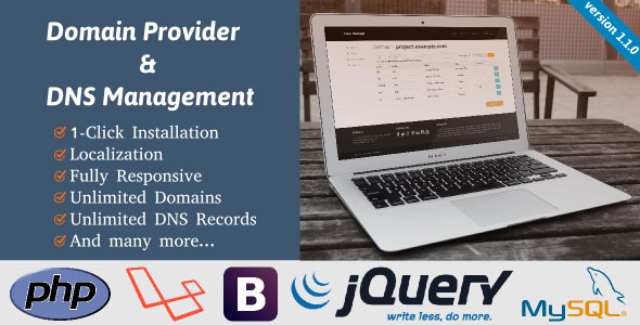 Domain Provider & DNS Management Domain Provider & DNS Management