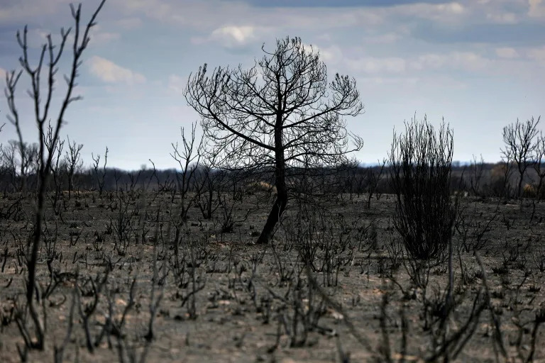Spain heatwave was 'most intense on record'
