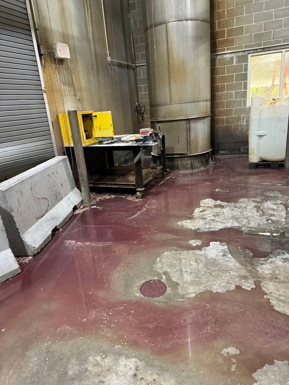 At an Iowa pork plant, piles of dead pigs and wafting sulphur dioxide
