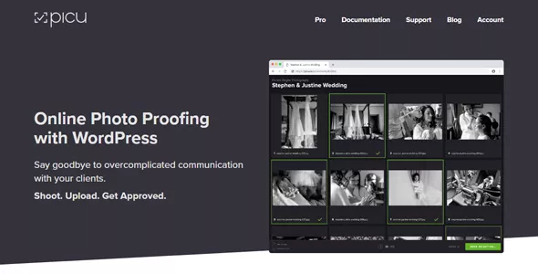 picu Pro - Online Photo Proofing with WordPress v1.0.2