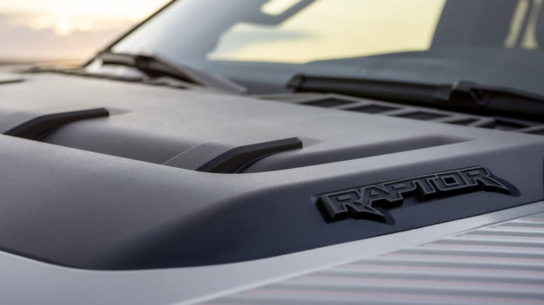 Close-up of the Raptor logo on the Ford F-150 Raptor