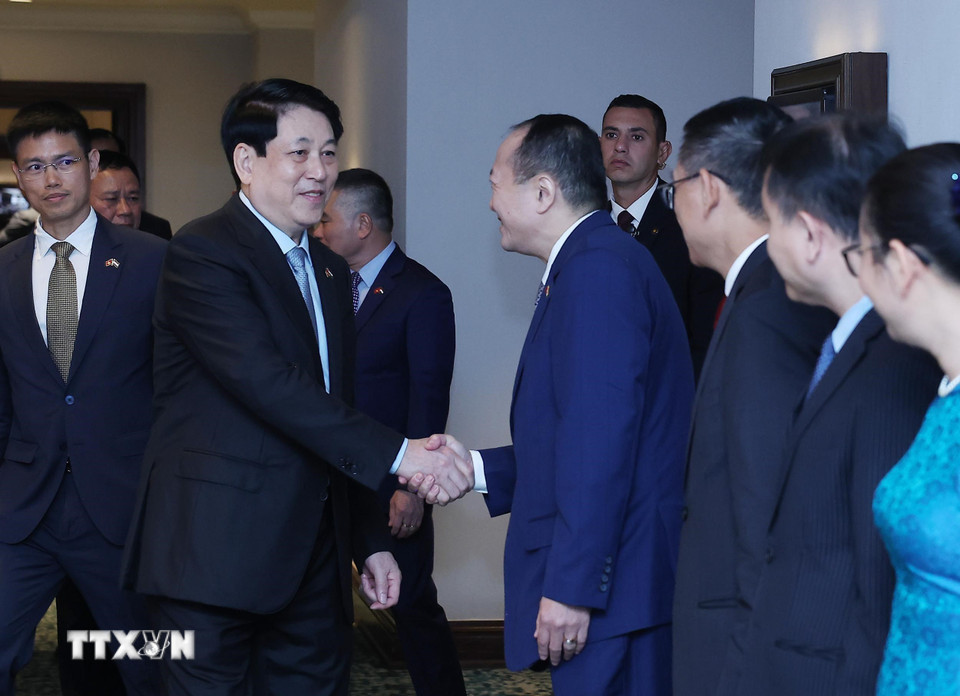 Chủ tịch nước làm việc với các Đại sứ Việt Nam tại châu Phi