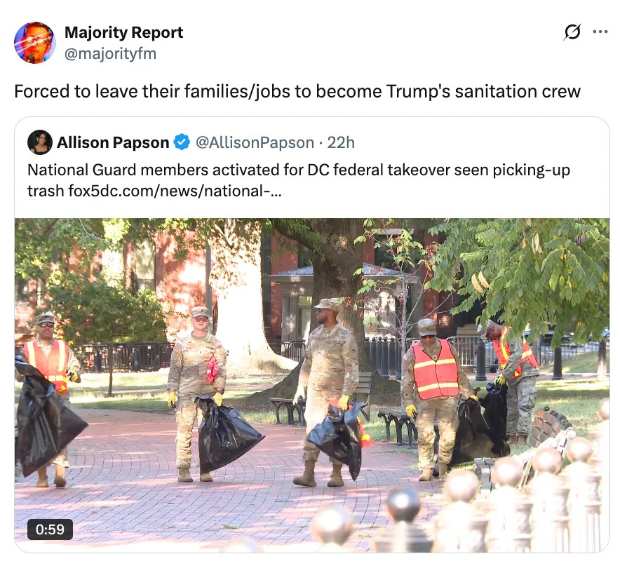 National Guard members in uniform pick up trash in a park as part of a DC federal takeover