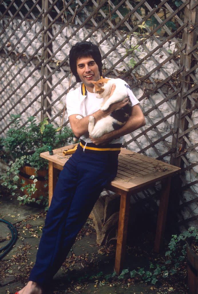 Freddie Mercury en 1980