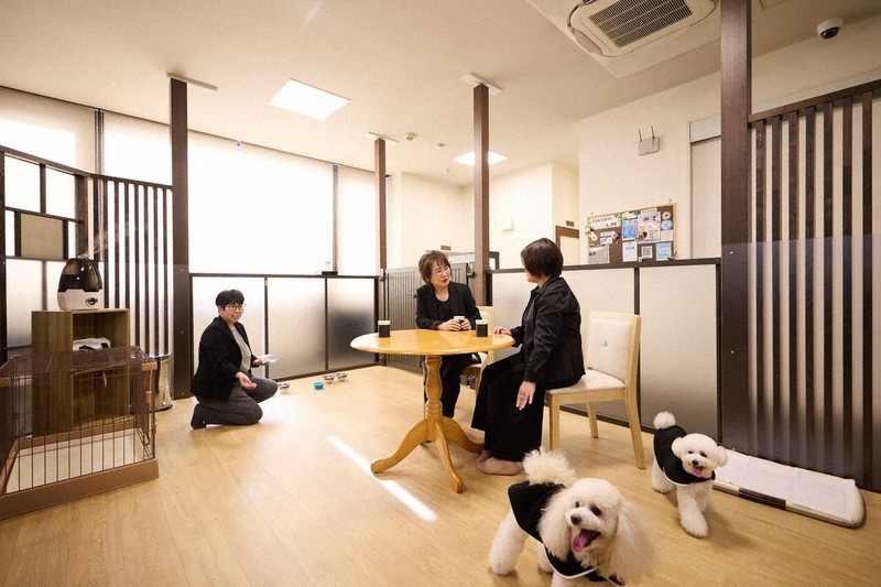 愛犬も喪服でお見送り　香川の葬儀社、家族葬プラン開始