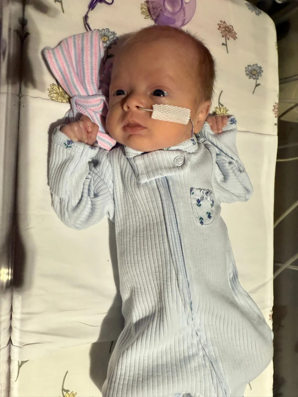 Courtesy Theresa Troia - PHOTO: Meet Isabella Gianna, a quintuplet.