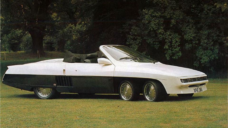 Panther 6
