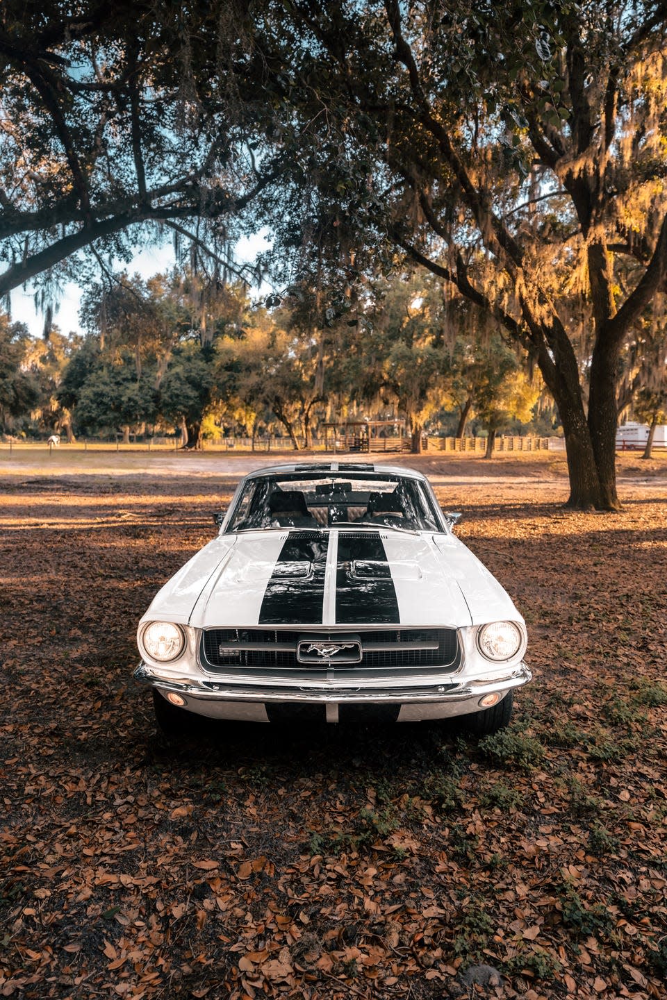 ecd automotive design 1967 ford mustang ghost debut images