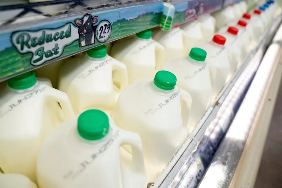 Official drink: Milk.
