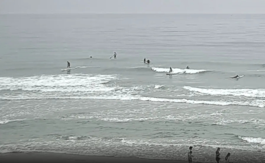 Views of La Jolla Shores, Calif. from Scripps Memorial Pier at Scripps Institution of Oceanography at UC San Diego. (Image credit: Pier Cam operated by Scripps Institution of Oceanography at UC San Diego)