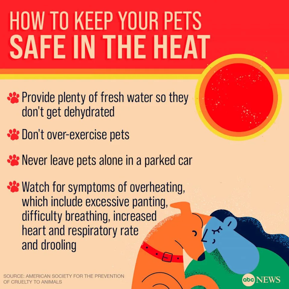 ABC News Photo Illustration - Tips to keep your pets safe in the heat.