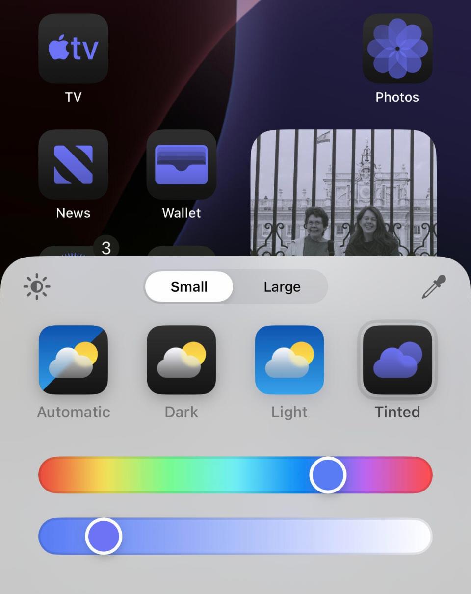 Portion of an iOS 18 screenshot showing the home screen icon controls set to Tinted.