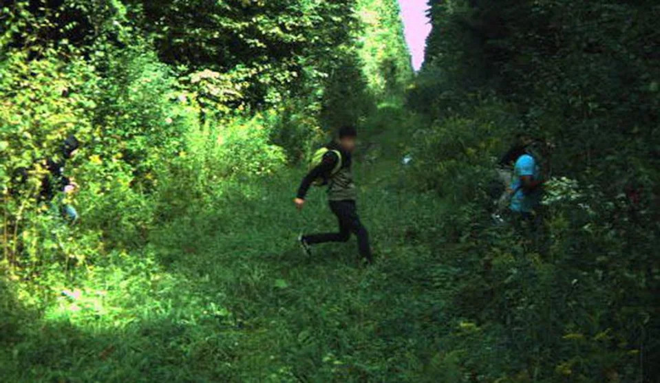 migrants northern border