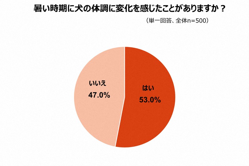 アイペット損保が実施した「＜犬編＞ペットの暑さ対策に関する調査」の結果＝アイペット損保提供