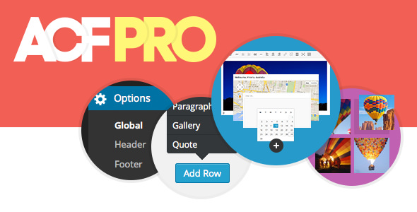 Advanced Custom Fields Pro v5.8.8